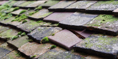 Ivinghoe roof repair costs
